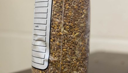 A sample of grain in a bag